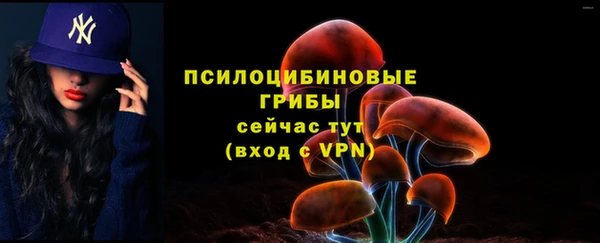 ECSTASY Верея